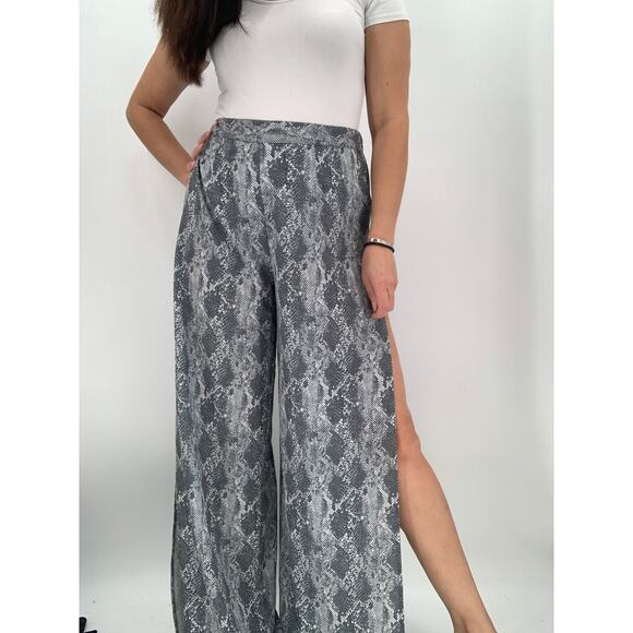 ant - Picture 6 of 6